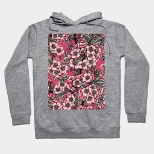 Cherry blossom on pink Hoodie